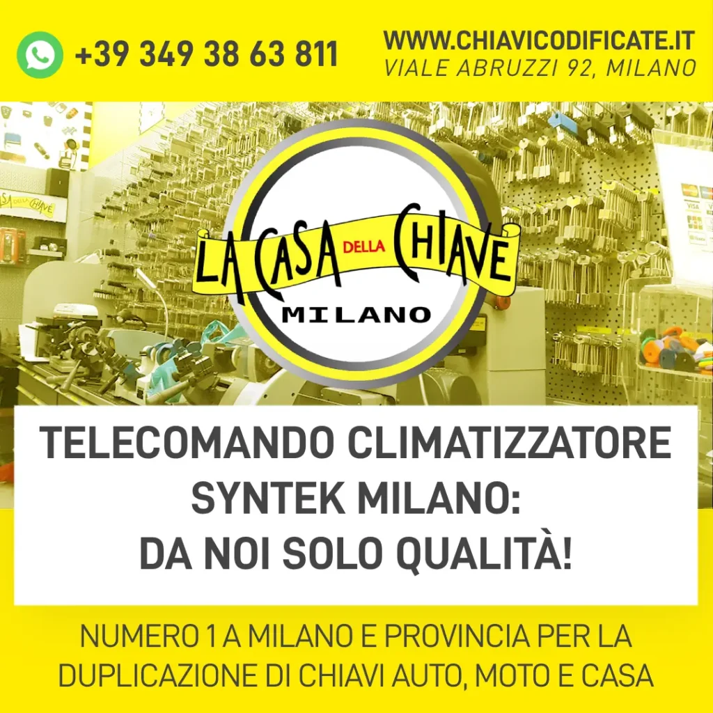 Telecomando Climatizzatore Syntek Milano: Da noi solo qualità!
